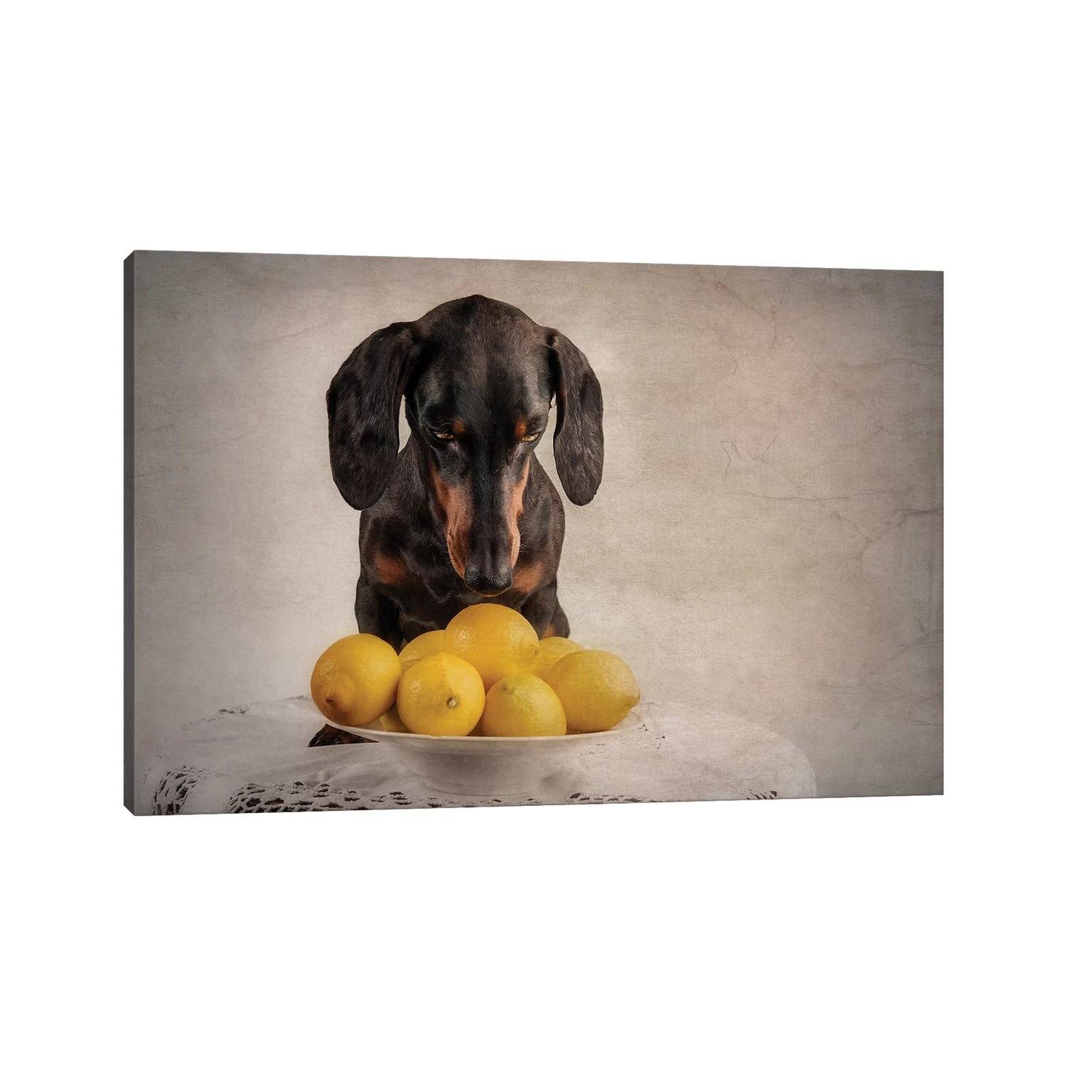 iCanvas "When Life Gives You Lemons..." by Heike Willers Canvas Print